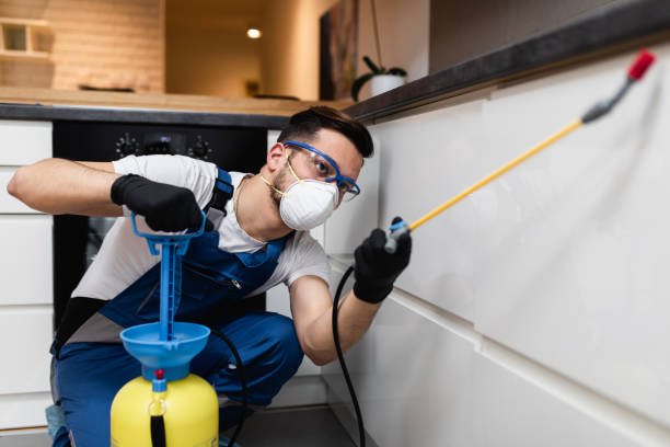 Best Emergency Pest Control  in Middleton, WI