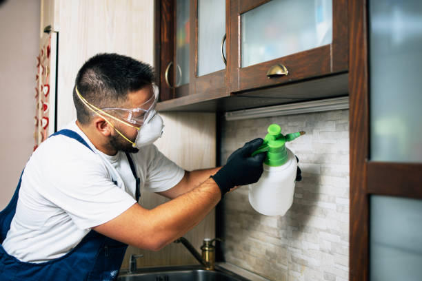 Best Local Pest Control Services  in Middleton, WI