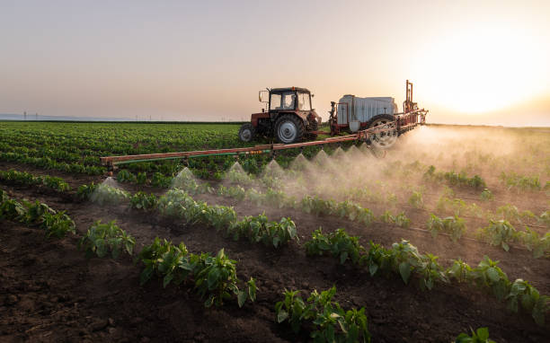 Best Pest Control for Businesses  in Middleton, WI