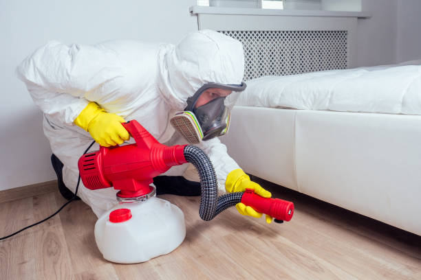 Reliable Middleton, WI Pest Control Solutions