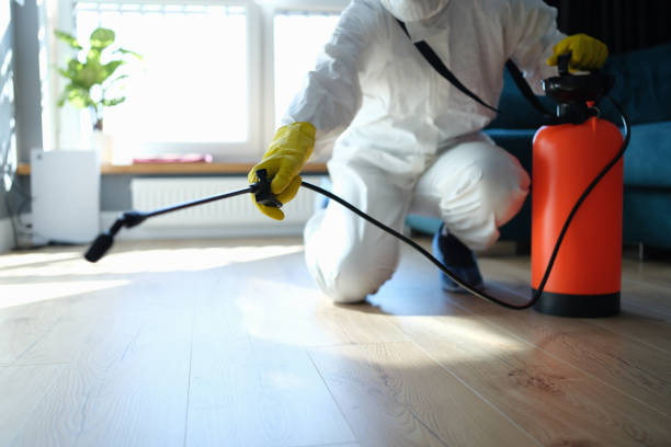 Flea Control Services in Middleton, WI