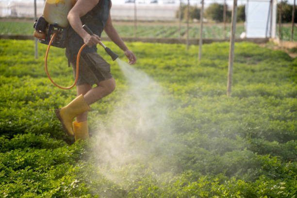 Pest Control Cost in Middleton, WI