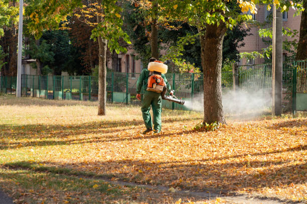 Best Affordable Pest Control Services  in Middleton, WI