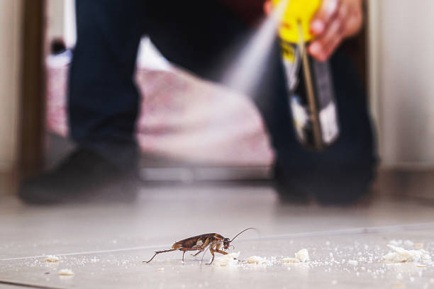 Best Termite Control Services  in Middleton, WI