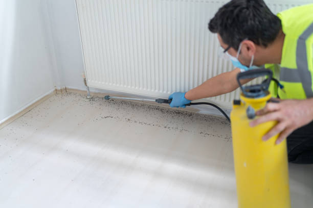 Best Rat Extermination Near Me  in Middleton, WI