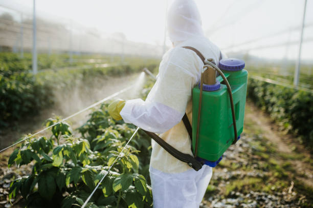 Best Best Pest Control Companies  in Middleton, WI